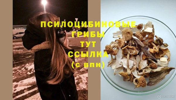 а пвп мука Алзамай