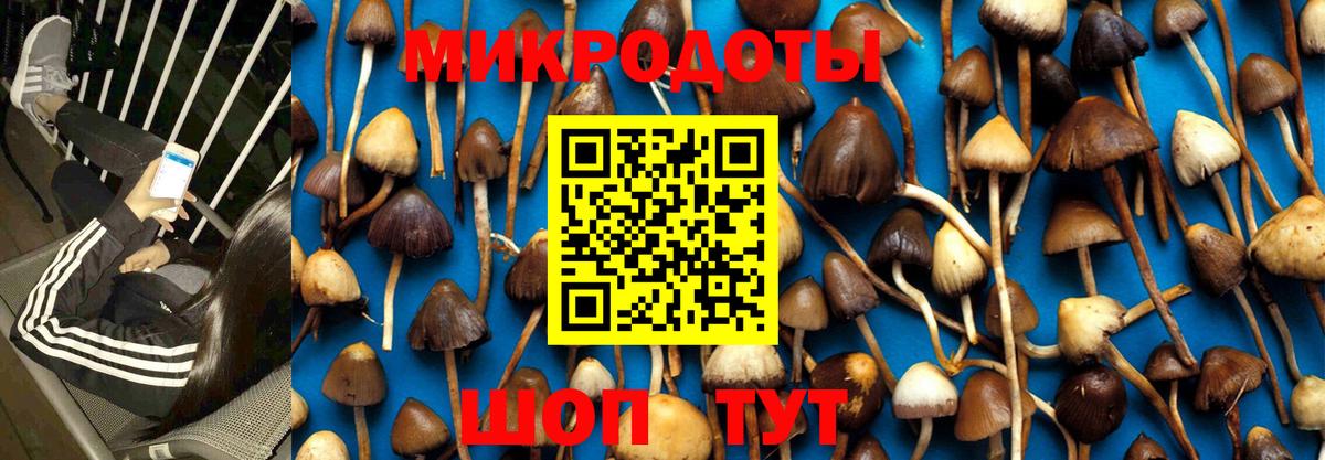 Псилоцибиновые грибы GOLDEN TEACHER Канаш