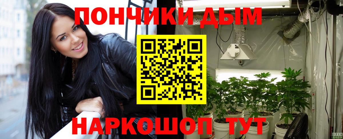 Бошки Шишки конопля  Вход с VPN  Канаш  Каннабис AK-47  Каннабис Bruce Banner 